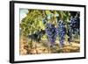 Tuscany Wine Grapes-ilfede-Framed Art Print