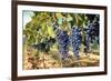 Tuscany Wine Grapes-ilfede-Framed Art Print