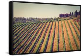 Tuscany-gkuna-Framed Stretched Canvas