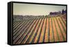 Tuscany-gkuna-Framed Stretched Canvas