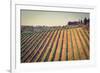 Tuscany-gkuna-Framed Photographic Print