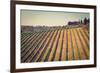 Tuscany-gkuna-Framed Photographic Print