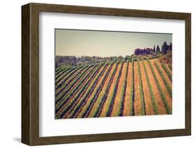 Tuscany-gkuna-Framed Photographic Print