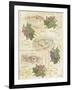 Tuscany-Maria Trad-Framed Giclee Print