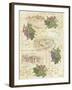 Tuscany-Maria Trad-Framed Giclee Print