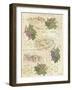 Tuscany-Maria Trad-Framed Giclee Print