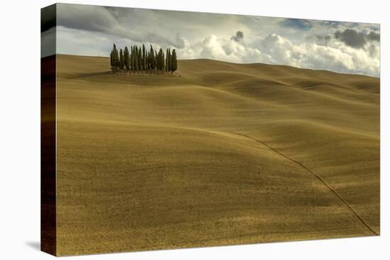 Tuscany-Dieter Uhlig-Stretched Canvas