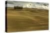 Tuscany-Dieter Uhlig-Stretched Canvas