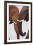 Tusk to Tusk-Staffan Widstrand-Framed Giclee Print