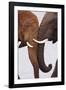 Tusk to Tusk-Staffan Widstrand-Framed Giclee Print