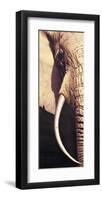 Tusk-Ridder-Framed Giclee Print