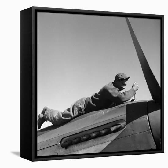 Tuskegee Airman, 1945-Toni Frissell-Framed Stretched Canvas