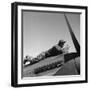 Tuskegee Airman, 1945-Toni Frissell-Framed Giclee Print