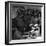 Tuskegee Airmen, 1945-Toni Frissell-Framed Premium Giclee Print