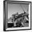 Tuskegee Airmen, 1945-Toni Frissell-Framed Giclee Print