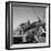 Tuskegee Airmen, 1945-Toni Frissell-Framed Giclee Print