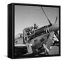 Tuskegee Airmen, 1945-Toni Frissell-Framed Stretched Canvas