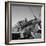 Tuskegee Airmen, 1945-Toni Frissell-Framed Premium Giclee Print