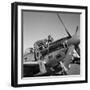 Tuskegee Airmen, 1945-Toni Frissell-Framed Premium Giclee Print