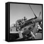 Tuskegee Airmen, 1945-Toni Frissell-Framed Stretched Canvas