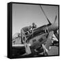 Tuskegee Airmen, 1945-Toni Frissell-Framed Stretched Canvas