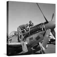 Tuskegee Airmen, 1945-Toni Frissell-Stretched Canvas
