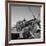 Tuskegee Airmen, 1945-Toni Frissell-Framed Giclee Print