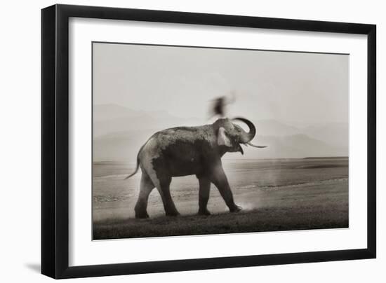 Tusker Dust Bath-Ganesh H Shankar-Framed Photographic Print