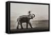 Tusker Dust Bath-Ganesh H Shankar-Framed Stretched Canvas