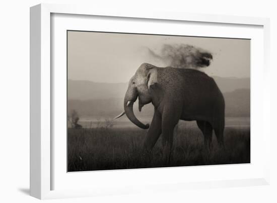 Tusker in Rain-Ganesh H Shankar-Framed Photographic Print