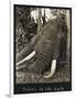 Tusks 70 Lbs Each, c.1930-null-Framed Giclee Print