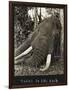 Tusks 70 Lbs Each, c.1930-null-Framed Giclee Print