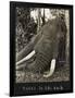 Tusks 70 Lbs Each, c.1930-null-Framed Giclee Print