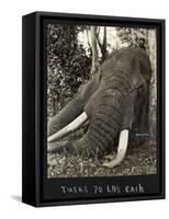 Tusks 70 Lbs Each, c.1930-null-Framed Stretched Canvas