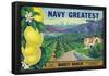 Tustin, California, Navy Greatest Brand Citrus Label-null-Framed Poster