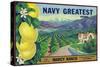 Tustin, California, Navy Greatest Brand Citrus Label-Lantern Press-Stretched Canvas