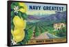 Tustin, California, Navy Greatest Brand Citrus Label-Lantern Press-Framed Stretched Canvas