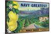 Tustin, California, Navy Greatest Brand Citrus Label-Lantern Press-Stretched Canvas