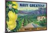 Tustin, California, Navy Greatest Brand Citrus Label-Lantern Press-Mounted Art Print