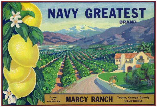 Poster, , large