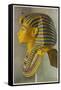 Tutankhamun Pharaoh Egyptian Ruler of the 18th Dynasty of Egypt 1361-52 Bc-null-Framed Stretched Canvas