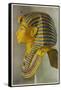 Tutankhamun Pharaoh Egyptian Ruler of the 18th Dynasty of Egypt 1361-52 Bc-null-Framed Stretched Canvas