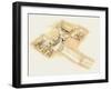 Tutankhamun's Tomb-Fernando Aznar Cenamor-Framed Giclee Print