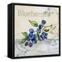 Tutti Fruiti Blueberries-Jean Plout-Framed Stretched Canvas