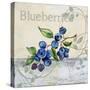 Tutti Fruiti Blueberries-Jean Plout-Stretched Canvas