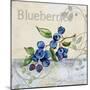 Tutti Fruiti Blueberries-Jean Plout-Mounted Giclee Print