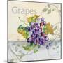 Tutti Fruiti Grapes-Jean Plout-Mounted Giclee Print