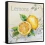 Tutti Fruiti Lemon-Jean Plout-Framed Stretched Canvas