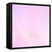 Tutu-Lynne Douglas-Framed Stretched Canvas