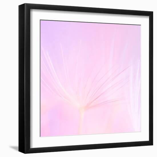 Tutu-Lynne Douglas-Framed Photographic Print